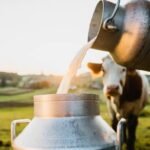 Kenya's Dairy Imports from Uganda Triple to Sh29 Billion