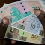 Zimbabwe Introduces ZiG: A Gold-Backed Currency for Economic Stability