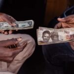 Tinubu's Tax Tightrope: Will Windfall Profits on Forex Save Naira or Spook Investors?