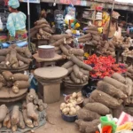 Nigeria’s Inflation Rate Drops to 33.3% in July 2024: Key Economic Implications and Future Outlook