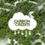 Kenya Industry Enters Key Partnership on Carbon Credits