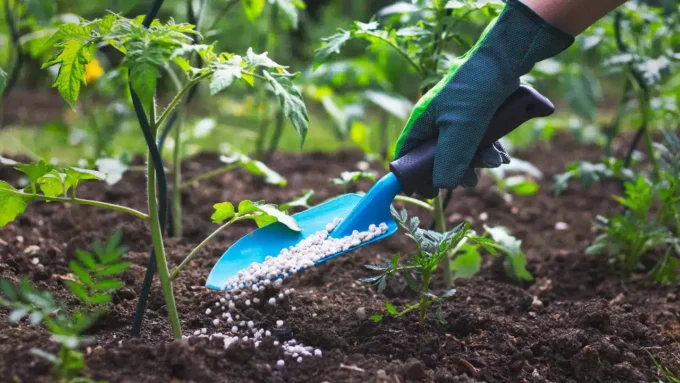 Nigeria’s Fertiliser Production Capacity Skyrockets by Over 300% Since 2017
