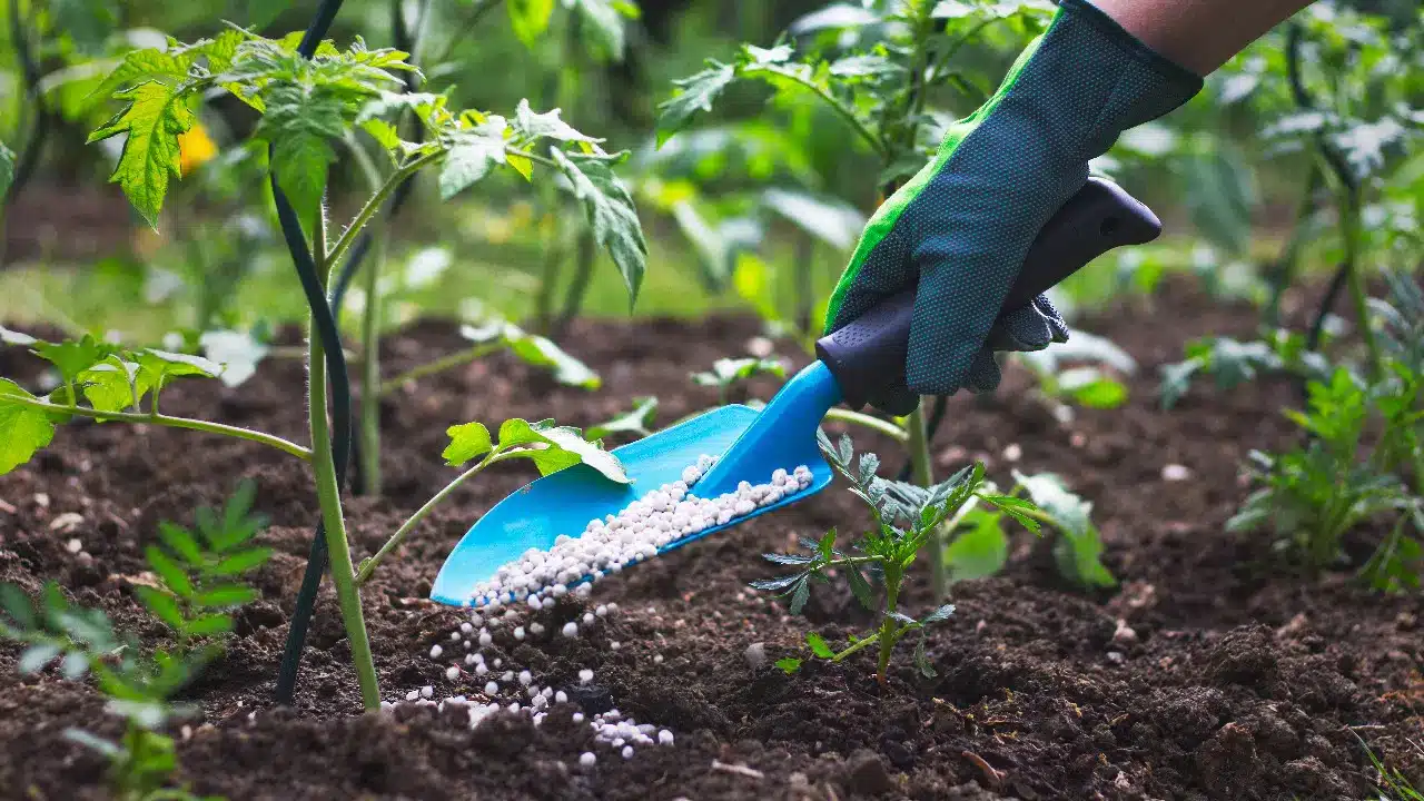 Nigeria’s Fertiliser Production Capacity Skyrockets by Over 300% Since 2017