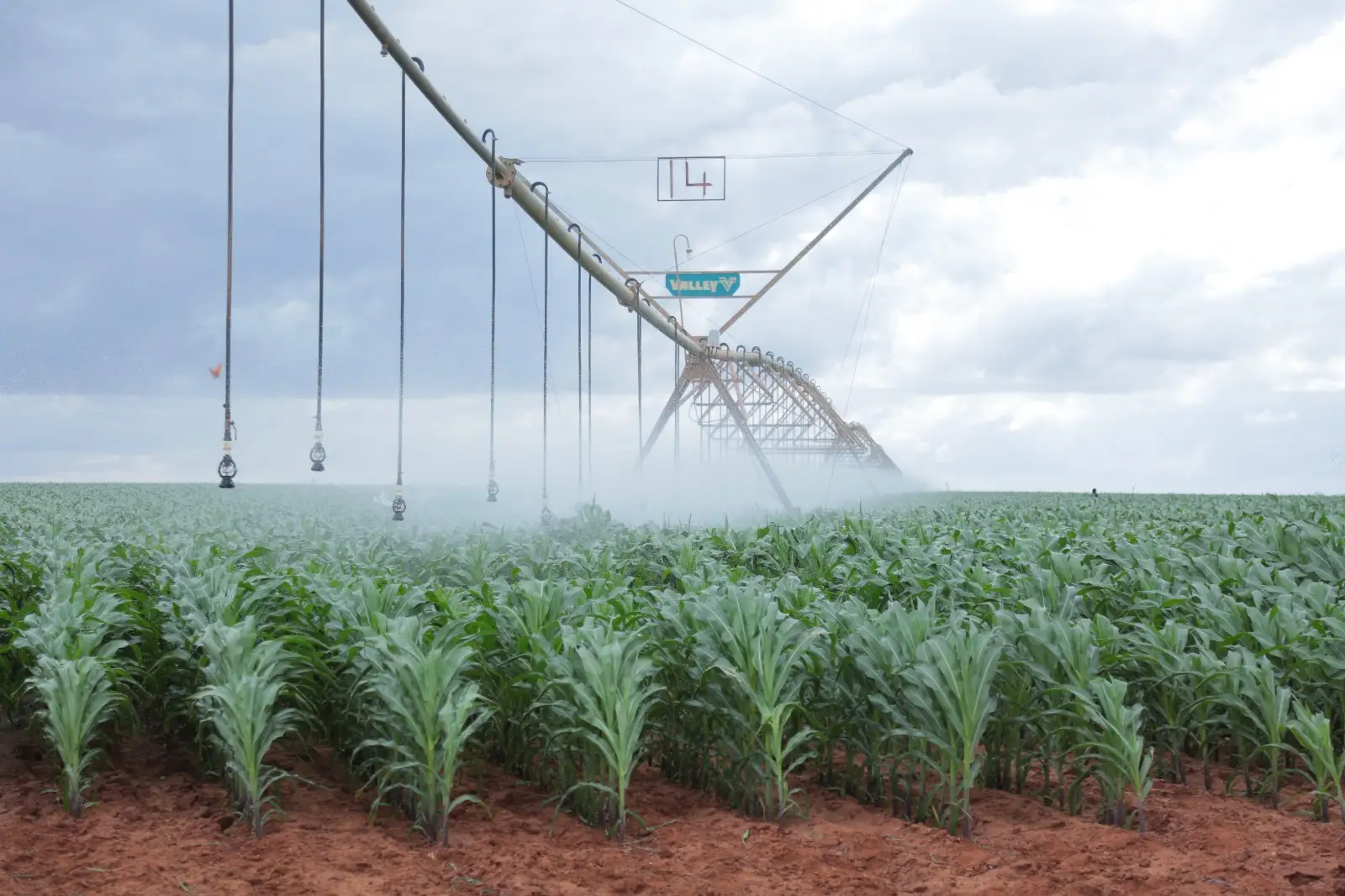 Kenya Launches Ambitious 10-Year Irrigation Plan to Boost Food Security and Create 5 Million Jobs