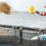 New Fisheries and Aquaculture Bill Set to Streamline Zimbabwe’s Seafood Industry