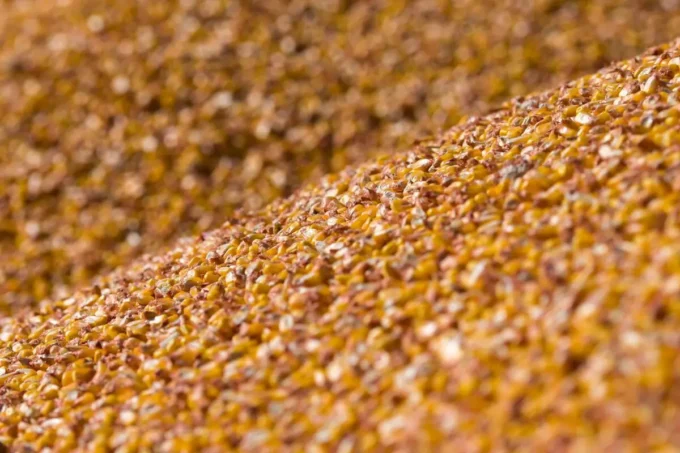 China Deepens Agricultural Ties with Angola in $100 Million Grain Investment Deal