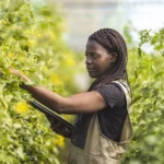 $250 Million Global Fund Targets African Agribusiness Revolution as Kenya, Nigeria and Egypt Set to Benefit from Sh37 Billion Investment Wave