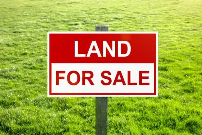 How to Buy Land Safely in Kenya (Simple Guide)